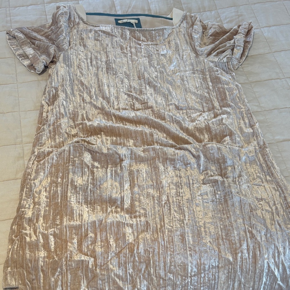 Floreat Shimmering Velvet Mini Dress in Cream